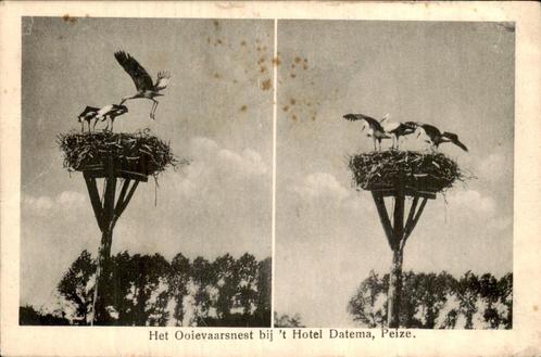 Peize - Hotel Datema - Ooievaarsnest, Verzamelen, Ansichtkaarten | Nederland, Ongelopen, Drenthe, Voor 1920, Ophalen of Verzenden