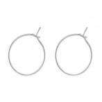 5 paar oorringen rvs/ stainless steel 20 mm, Hobby en Vrije tijd, Verzenden, Nieuw