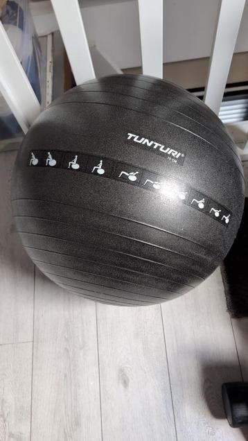 Fitnessbal 75cm beschikbaar voor biedingen