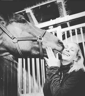 🌺 Liefdevolle en betrouwbare bijrijder zoekt verzorgpaard🐴 beschikbaar voor biedingen
