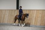 Leuke, lieve kinderpony & sportpony, Dieren en Toebehoren, Ruin, M, B pony (1.17m tot 1.27m), Ontwormd
