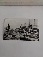 ZEVENBERGEN. SUIKERBIETENCAMPAGNE, Ophalen of Verzenden, Voor 1920