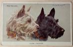 UK hond  2  Scottish Terrier Schotse Terrier illustr. VALTER, Verzenden, 1920 tot 1940, Gelopen, Overige thema's
