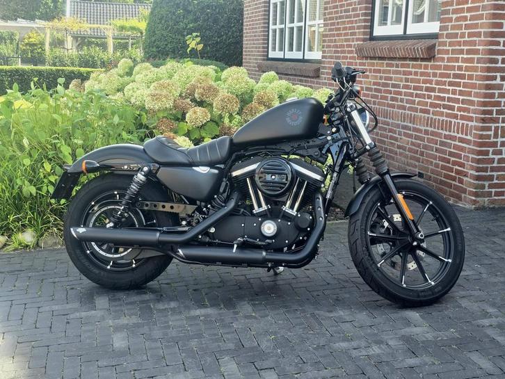 Harley Davidson Sportster Iron 883 – 2020 – Slechts 8.827 km, Motoren, Motoren | Harley-Davidson, Particulier, Chopper, ABS, Sportuitlaat