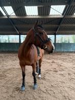 Leaser gezocht, Ophalen of Verzenden, Zo goed als nieuw