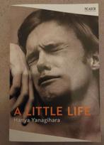 a little life hanya yanagihara 9781529077216, Boeken, Ophalen of Verzenden, Gelezen