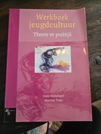 Werkboek Jeugdcultuur - Theorie en Praktijk, Gelezen, Hans Malschaert, Marinus Traas, Alpha, HBO
