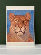 Kop van een leeuwin - Wierink - 1 kunst kaart A4 (21x29,7cm), Info@olphy.nl, Ophalen of Verzenden, Olphy, Nieuw