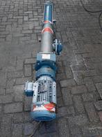 kuijpers voerpomp, Mannelijk, Geit