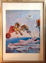 Poster Dali, Ophalen of Verzenden, Zo goed als nieuw, A1 t/m A3, Overige onderwerpen