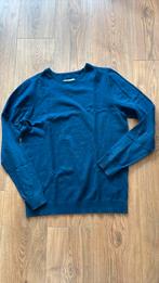 Trui Required, Ophalen of Verzenden, Zo goed als nieuw, Blauw, Trui of Vest