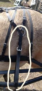 Te koop kicking strap voor shetlander, Ophalen of Verzenden, Nieuw, Overige soorten