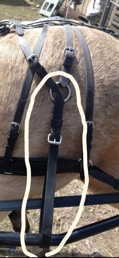 Te koop kicking strap voor shetlander, Dieren en Toebehoren, Paarden en Pony's | Hoofdstellen en Tuigage, Nieuw, Overige soorten
