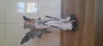 Decoratie elfenbeeldje, Ophalen of Verzenden, Zo goed als nieuw, Fantasy