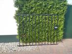 zwaar gegalvaniseerde poort, Tuin en Terras, Ophalen, Gebruikt, IJzer
