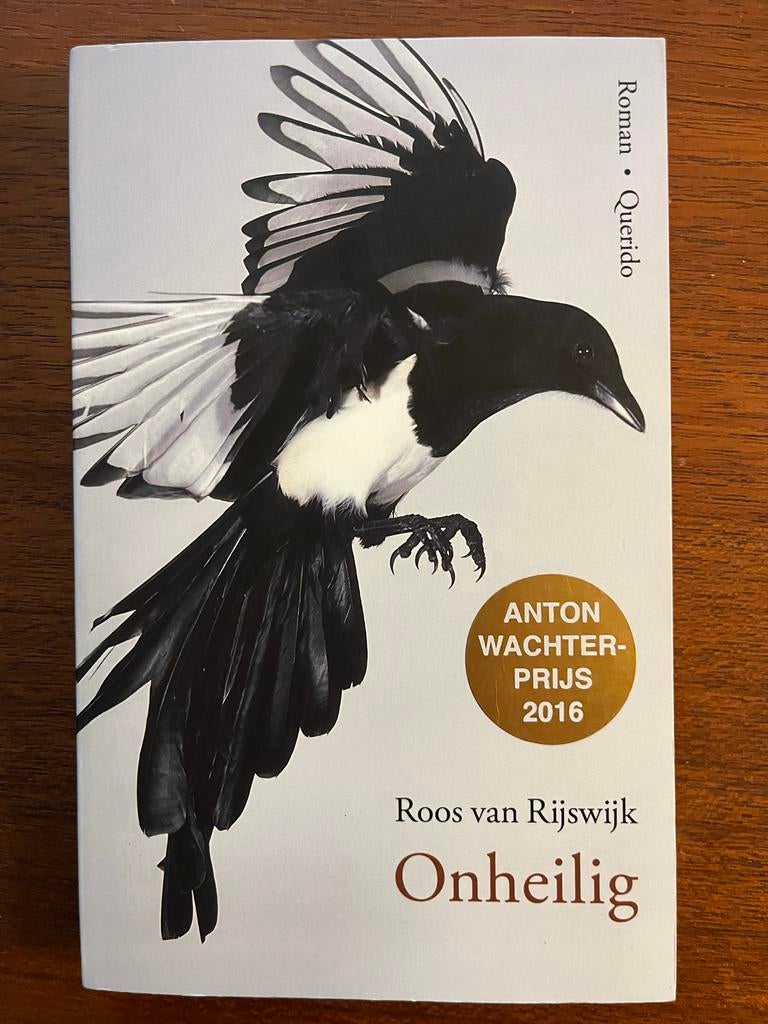 Onheilig - Roos van Rijswijk, Boeken, Romans, Zo goed als nieuw, Nederland, Ophalen of Verzenden