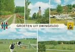 Groeten uit Dwingeloo 1981, Ophalen of Verzenden, 1980 tot heden, Gelopen, Drenthe