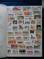 leeuwen, tijgers en katachtigen (zv-6a), Ophalen of Verzenden, Buitenland