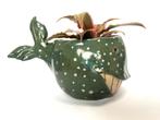Bloempotje walvis plus plantje, Ophalen of Verzenden