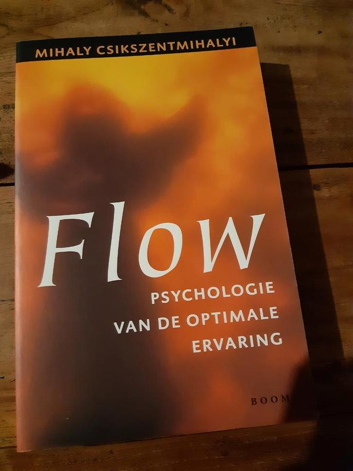 M. Csikszentmihalyi - Flow, Boeken, Psychologie, Zo goed als nieuw, Ontwikkelingspsychologie, Ophalen of Verzenden