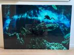 Plexiglas schilderij 190x80cm, Ophalen