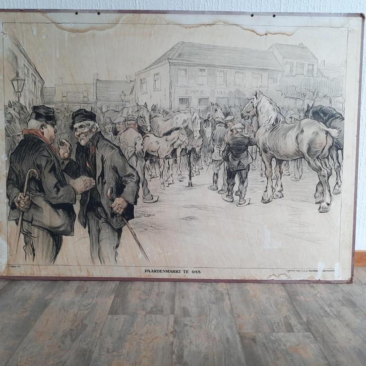 Schoolplaten van Malmberg en Wolters, Antiek en Kunst, Antiek | Schoolplaten, Aardrijkskunde, Ophalen of Verzenden