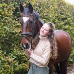 Stalling paarden met weidegang, Dieren en Toebehoren, Stalling en Weidegang, Weidegang, 1 paard of pony