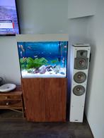 Aquarium juwel lido 120 + helialux LED smart ctrl + JBL e702, Dieren en Toebehoren, Vissen | Aquaria en Toebehoren, Ophalen, Gebruikt