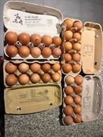 Vrije uitloop eitjes van kinderboerderij, Ophalen