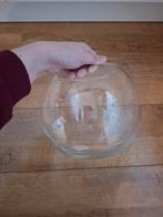 Vissenkom glas, Ophalen, Zo goed als nieuw, Leeg aquarium