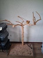 Javaboom met speeltjes, Ophalen