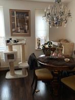 Vakantie opvang in huiselijke kring (kleinschalig), Diensten en Vakmensen, Dieren | Katten | Verzorging, Oppas en Les, Particuliere oppas