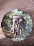 Decoratief Bord 'Aziatische Olifant' Will Nelson, Ophalen of Verzenden