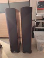 2 speakers Synergy F1, Zo goed als nieuw, 60 tot 120 watt, Front, Rear of Stereo speakers, Ophalen
