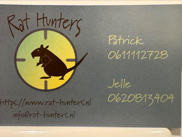 Ratten en muizen bestrijding, Diensten en Vakmensen, Ongediertebestrijding, Muizen of Ratten