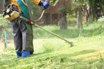 Hovenier– Zomeractie! 10% korting op tuinonderhoud, Hekwerk of Schuttingen