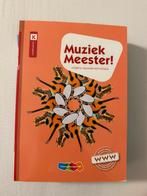 Rinze van der Lei - Muziek Meester!, Rinze van der Lei; Lieuwe Noordam; Frans Haverkort, Ophalen of Verzenden, Zo goed als nieuw
