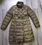 Groene Winterjas Nickelson Maat XS, Nickelson, Ophalen of Verzenden, Zo goed als nieuw, Maat 34 (XS) of kleiner