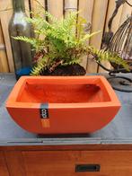 Mooie Wandhangers van het merk Capi, Kunststof, Minder dan 30 cm, Minder dan 60 cm, Ophalen of Verzenden