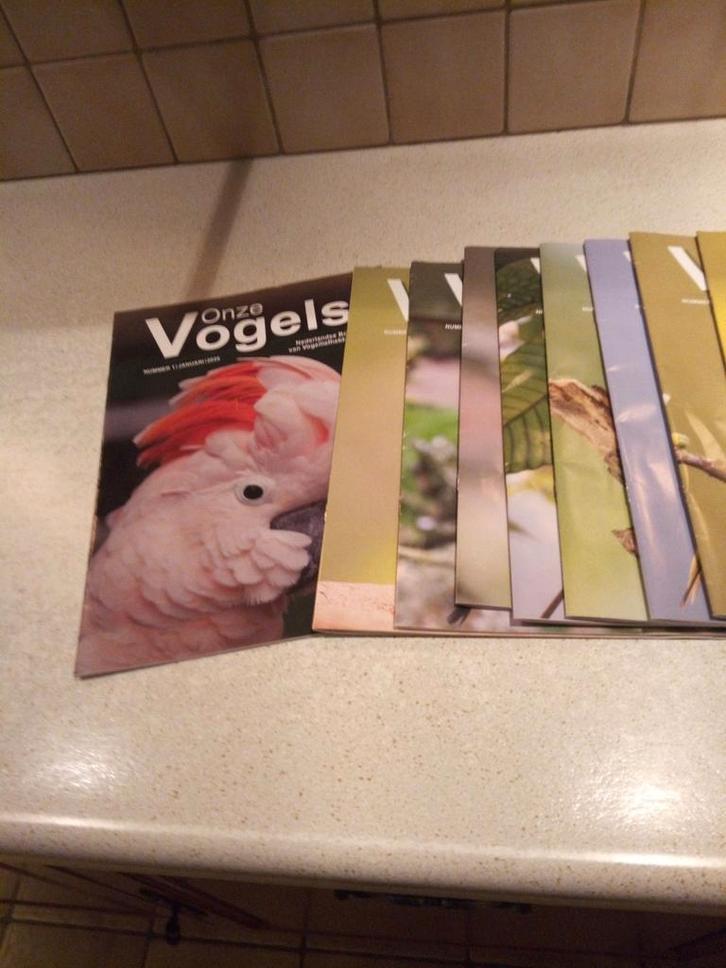 Onze Vogels - Jaargang 2025 NBvV - ZGAN, Boeken, Tijdschriften en Kranten, Zo goed als nieuw, Wetenschap en Natuur, Ophalen of Verzenden