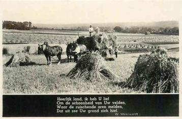 (301-113-033) Nederland beschikbaar voor biedingen