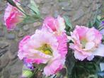 LISIANTHUS - KUNST - ROZE, Ophalen of Verzenden, Nieuw