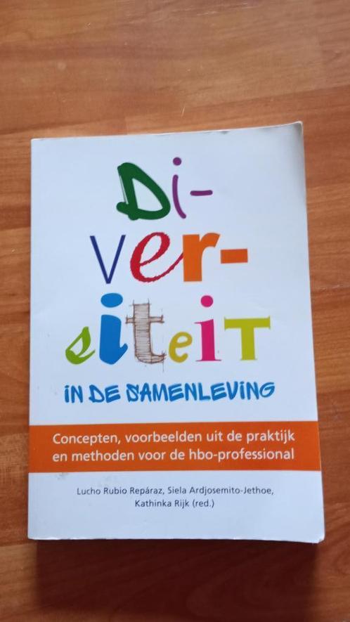 Lucho Rubio Repáraz e.a. - Diversiteit, Boeken, Studieboeken en Cursussen, Zo goed als nieuw, HBO, Ophalen of Verzenden