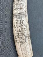 Nagemaakte walrusslagtanden met Gravure, Antiek en Kunst, Ophalen