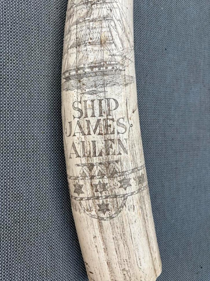 Nagemaakte walrusslagtanden met Gravure, Antiek en Kunst, Antiek | Overige Antiek, Ophalen