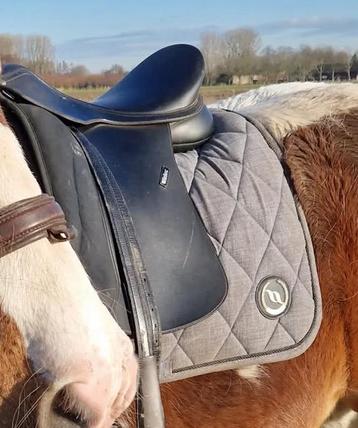 Grijs Back on Track dekje, maat Full beschikbaar voor biedingen
