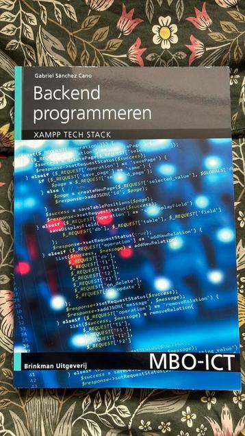 Gabriel Sánchez Cano - Backend programmeren beschikbaar voor biedingen