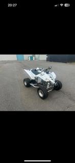 Yamaha Raptor 350, Motoren, 1 cilinder, 350 cc, 12 t/m 35 kW