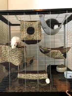 Gebruikte knaagdierenkooi, Kooi, Gebruikt, 75 tot 110 cm, Ophalen