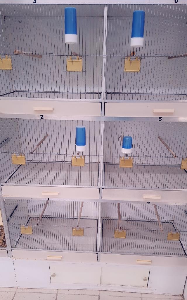 Gehu kooien, Dieren en Toebehoren, Vogels | Hokken en Kooien, Ophalen, Gebruikt, Hout, Vogelkooi